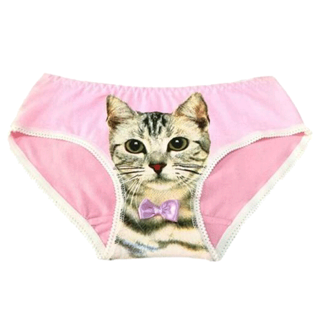 Panty Cat Panties Girls Lingerie  Women Underwear Cat Full Cute